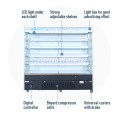 Plug in Open Multi-Deck Display Refrigerator for Dairy